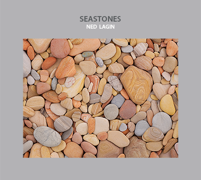Seastones cover art - by Ned Lagin