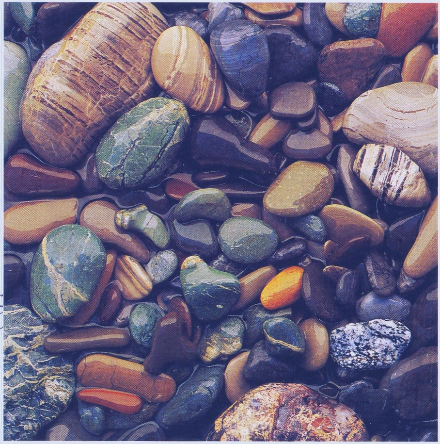 Wild Sea Stones (photo by Ned Lagin)